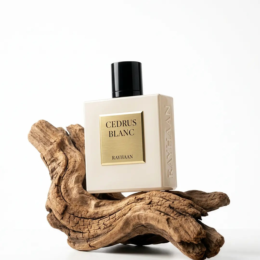 Cedrus Blanc