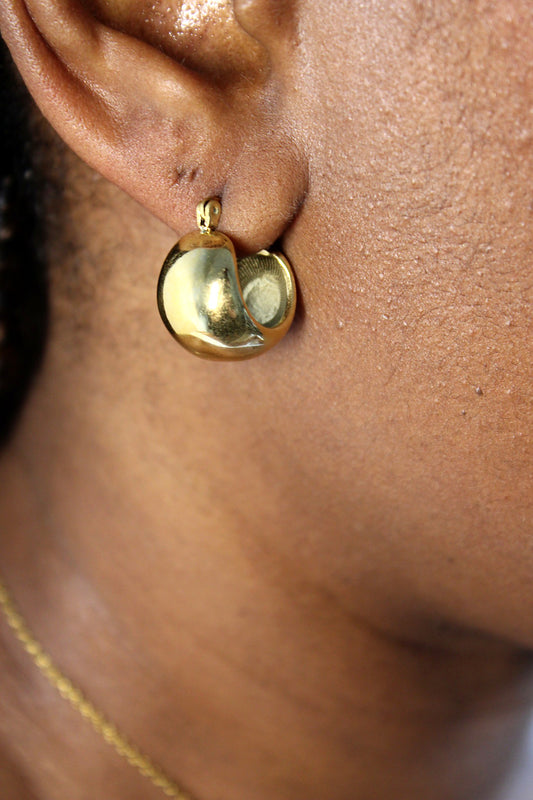 Naomi Chunky Earrings